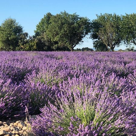 Bed and Breakfast Les Costebelles Valensole Esterno foto