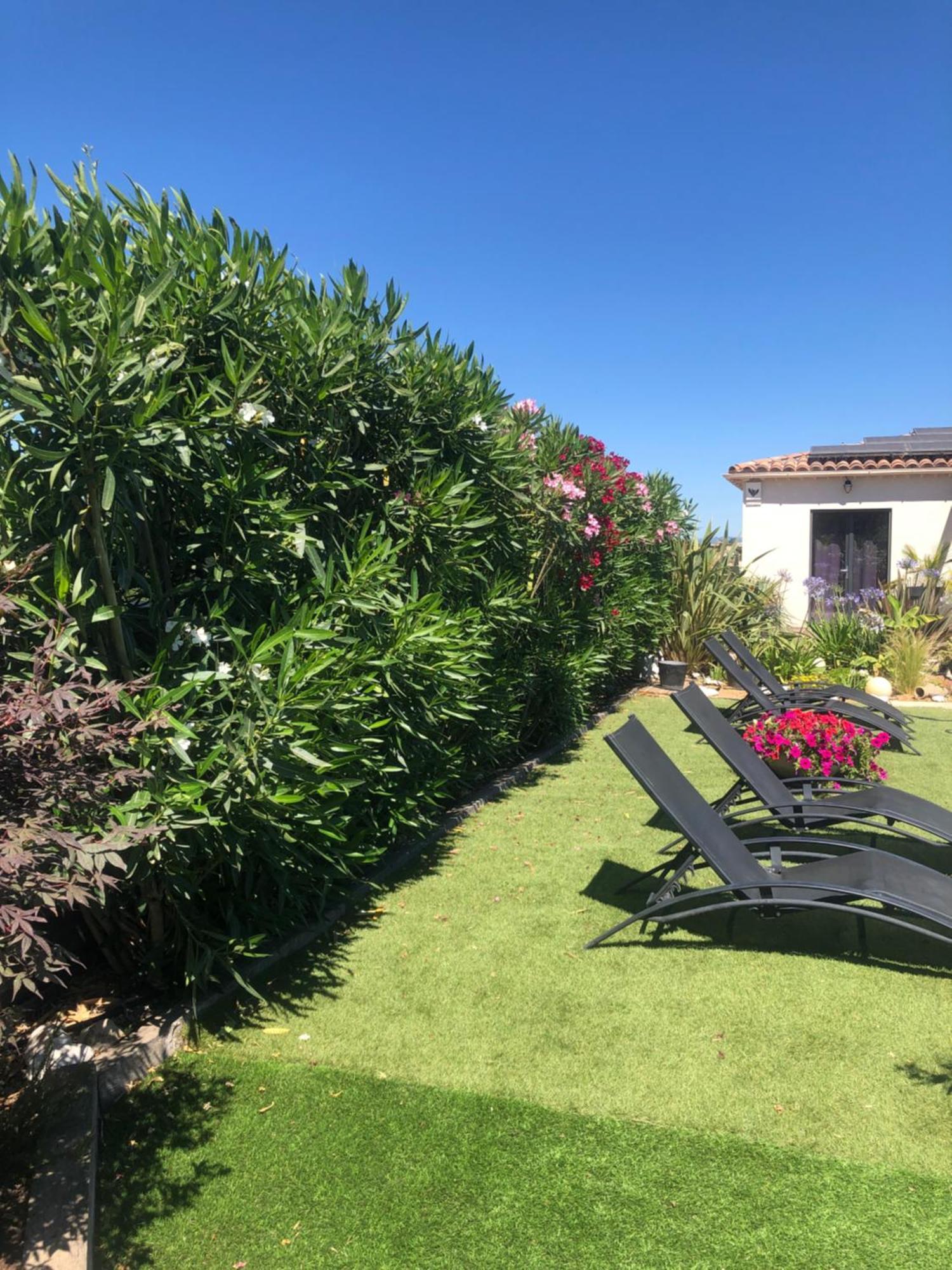 Bed and Breakfast Les Costebelles Valensole Esterno foto