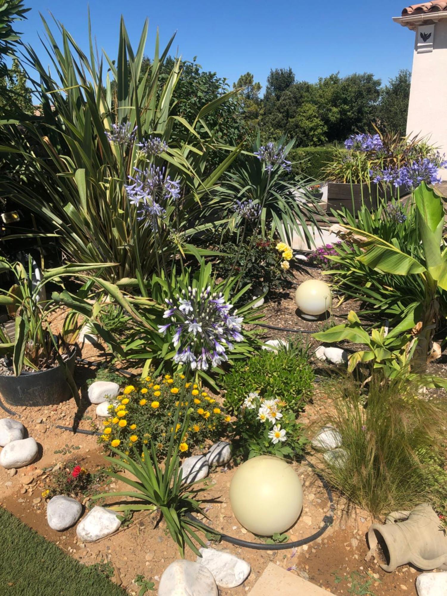 Bed and Breakfast Les Costebelles Valensole Esterno foto